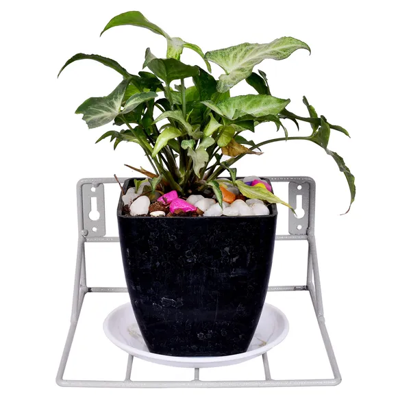 Grey_Wall_Fixing_Wall_mounting_Wall_Hanging_Plant_Planter_Pot_Stand_Bracket_for_Balcony__(Pack_of-2)-_Small_(DVPOT-22W-S)