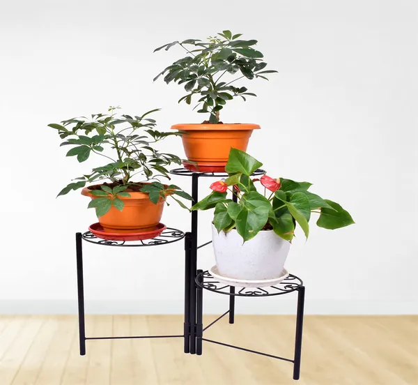 3-Tiered_Indoor/Outdoor_Foldable_Plant_Stand,_Pot_stand_-Black_(DVPOT-29B)