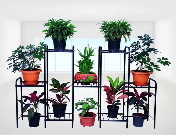 Multi-Tier_Indoor_Outdoor_Plant_Stand_Rack,_Flower_Pot_Display_Shelf,_36"_Wide,_59"_Height_(7_Shelf)_DVPOT-44B