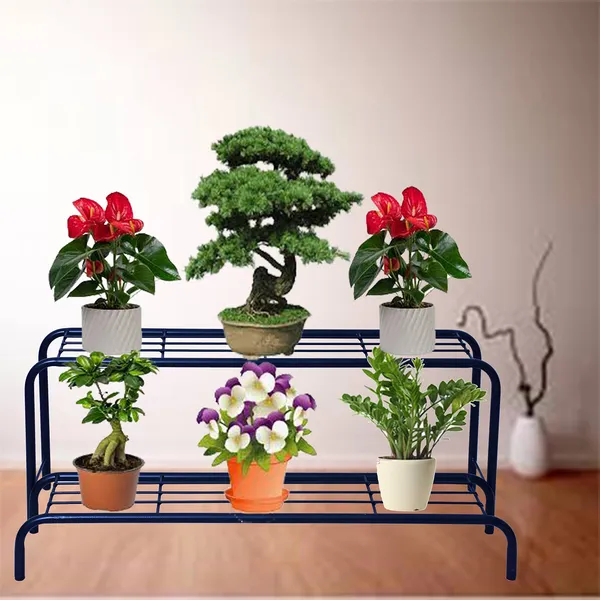 Floor_Mount_Indoor_Outdoor_Planter_Stand,_Flower_Pot_Rack_For_Home_Garden_Balcony-_Black_(2_Tiered_Shelf_)_DVPOT-47B-2T