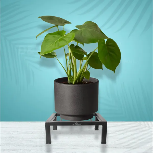 Heavy_Duty_Planter_Stand_Flower_Pot_Stand_Plant_Stands_for_Indoor_or_Outdoor_balcony,_25X25X11_CM_-_Black,_Pack_of_1_(DVPOT-51B-01)