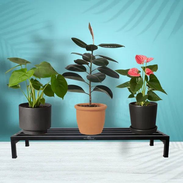 Metal_Premium_Plant_Stand,_Flower_Pot_Stand_for_Balcony_Black,_2.5_ft_wide,_Pack_of_2