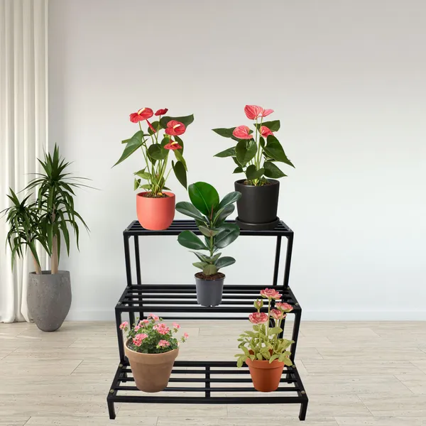 Premium_Multipurpose_Planter_Stand___Flower_Pot_Stand__plant_stand_for_Home_garden_balcony_-_3_Tier_(DVPOT-53B-3T)