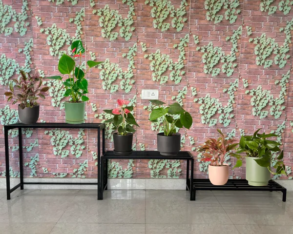 Premium_Multipurpose_Planter_Stand___Flower_Pot_Stand__plant_stand_for_Home_garden_balcony_-_3_Tier_(DVPOT-53B-3T)