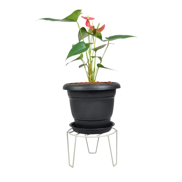 Plant_Pot_Display_Stand_(Grey,_Medium),_Pack_Of_1_(DVPOT-06W-M)