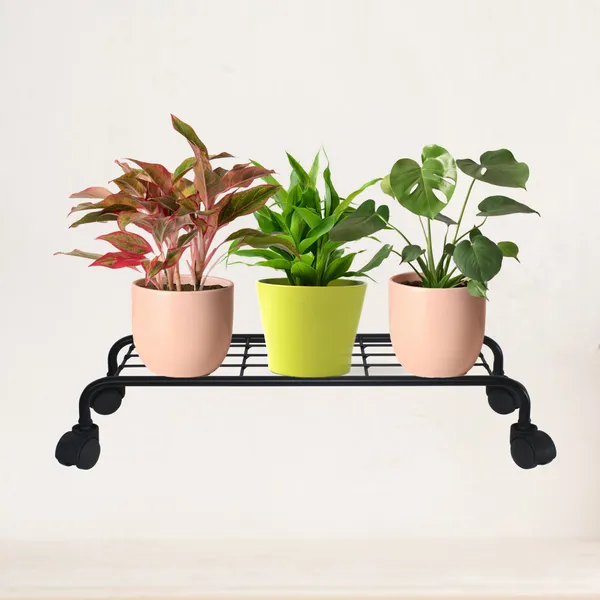 Heavy_Duty_Plant_Stand_with_Rolling_Wheels_for_Indoor_Outdoor_Plants_-_Black_(Set_of_2)DVPOT-49B-02