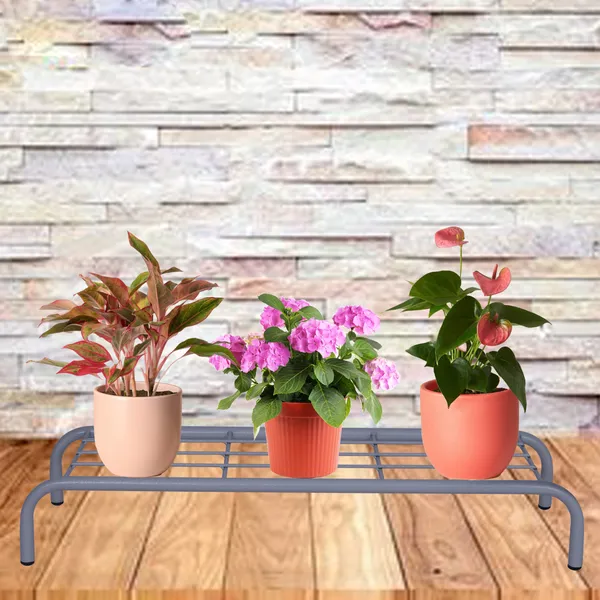 Floor_Planter_Stand/Pot_Stand/Plant_Stand_for_Home_or_Garden_D?cor_(Set_of_2,_Grey)_DVPOT-38W-02
