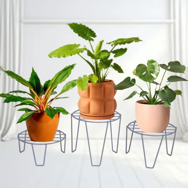 Planter_Stand/Flower_Pot_Stand/Plant_stand_(22_cm_Dia_-_Set_of_3)_DVPOT-06W-SML