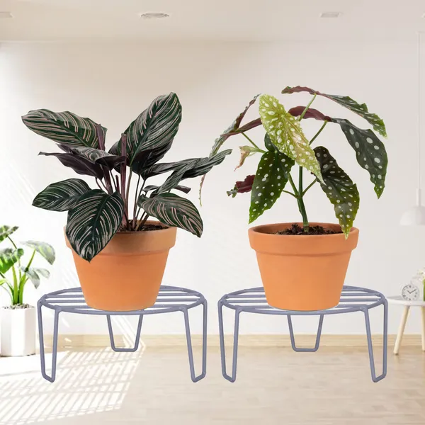 Metal_planter_Stand,_Grey,_Ring_dia-8.5",_Height-_4",_2_Pieces_(DVPOT-02W)