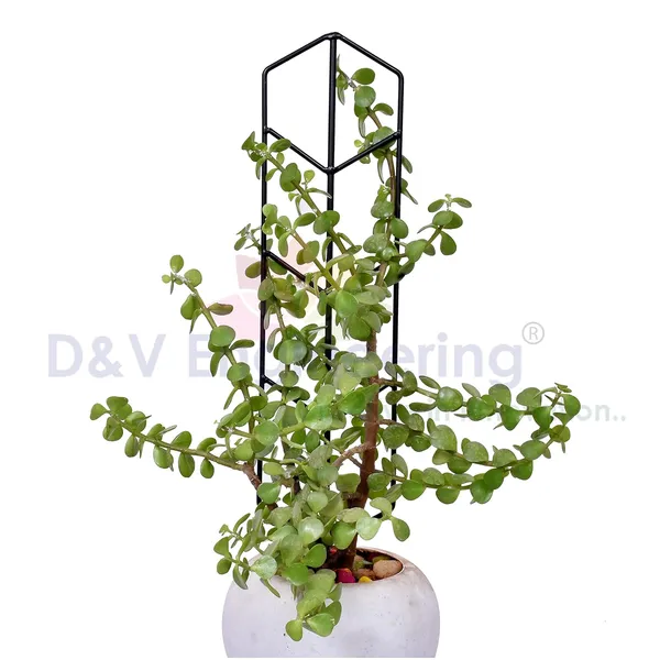 Set_of_4_-_Black_Plant_Support_Bracket_for_Indoor_or_Outdoor_Plants