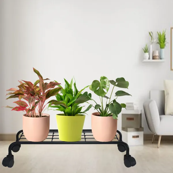 Heavy_Duty_Plant_Stand_with_Rolling_Wheels_for_Indoor_Outdoor_Plants_-_Black_(Set_of_4)_DVPOT-49B-04