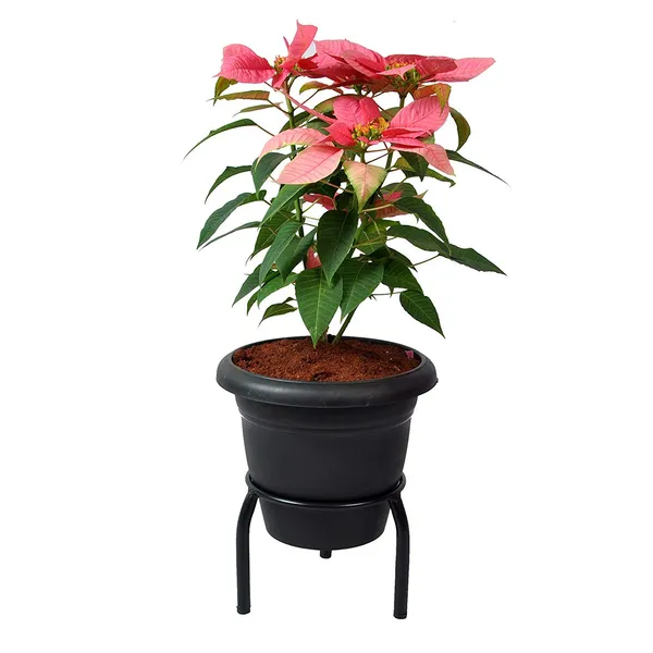 Single_Ring_Pot_Stand/Plant_Stand/Matka_Holder_for_Home/Garden/Balcony_Decor_(19_cm_Ring_Dia,15_cm_Height_-_1_Piece)_DVPOT-07B-01