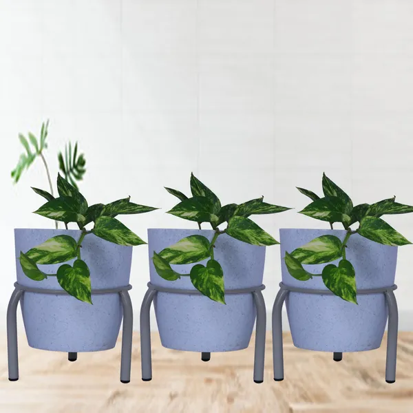Set_of_3_-Single_Ring_Pot_stand/Plant_stand