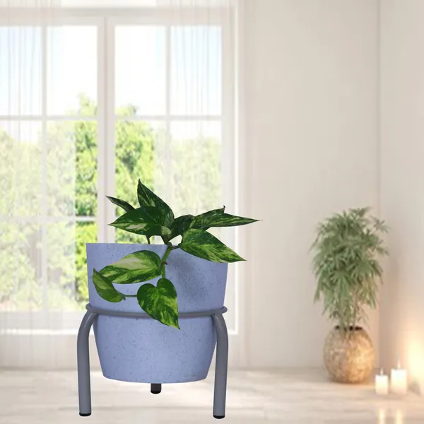 Set_of_3_-Single_Ring_Pot_stand/Plant_stand