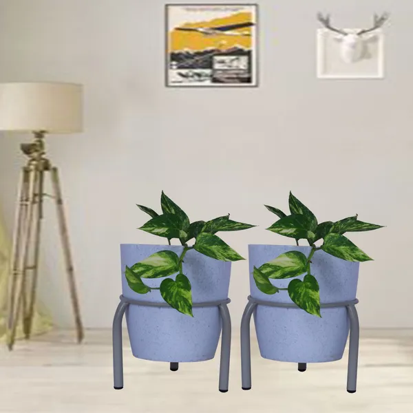 Single_Ring_Pot_stand/Plant_stand/Matka_Holder_for_Home/garden/Balcony_Decor_(19_cm_Ring_Dia,15_cm_Height_-_Set_of_2)_DVPOT-07W-02