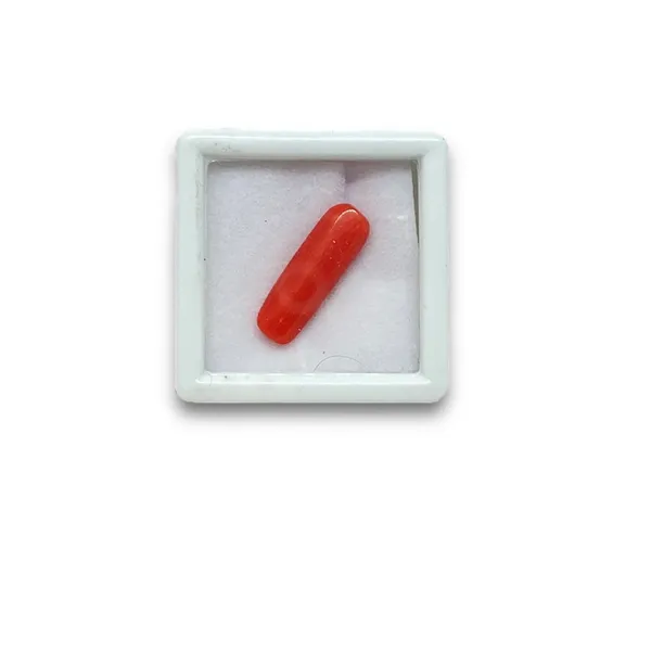 Certified_Coral_(Munga)