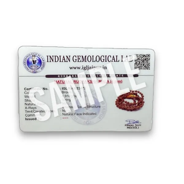 5_MUKHI_MALA_&_5_MUKHI_925_SILVER_PENDANT_LAB_CERTIFIED_COMBO