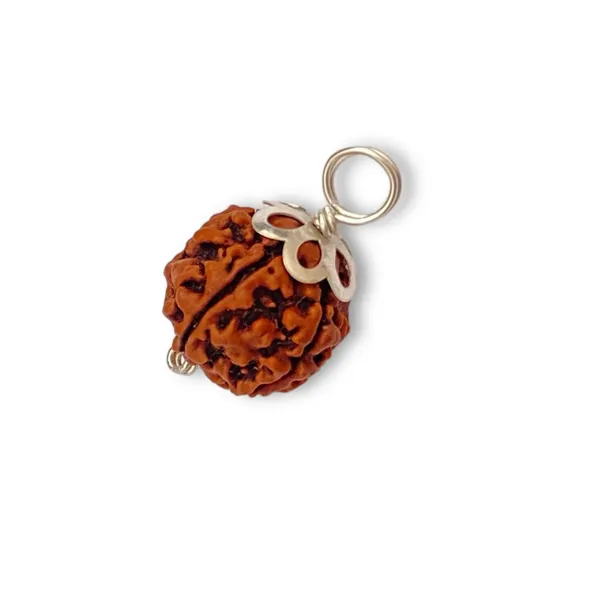 5_MUKHI_MALA_&_5_MUKHI_925_SILVER_PENDANT_LAB_CERTIFIED_COMBO
