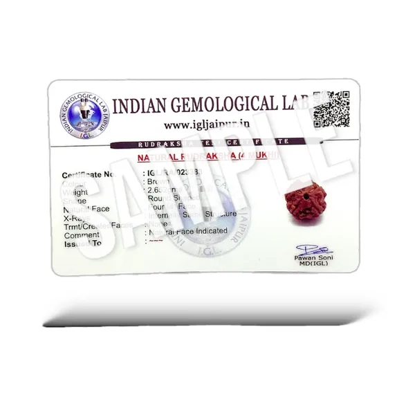 4_MUKHI_RUDHRKASH_LAB_CERTIFIED_