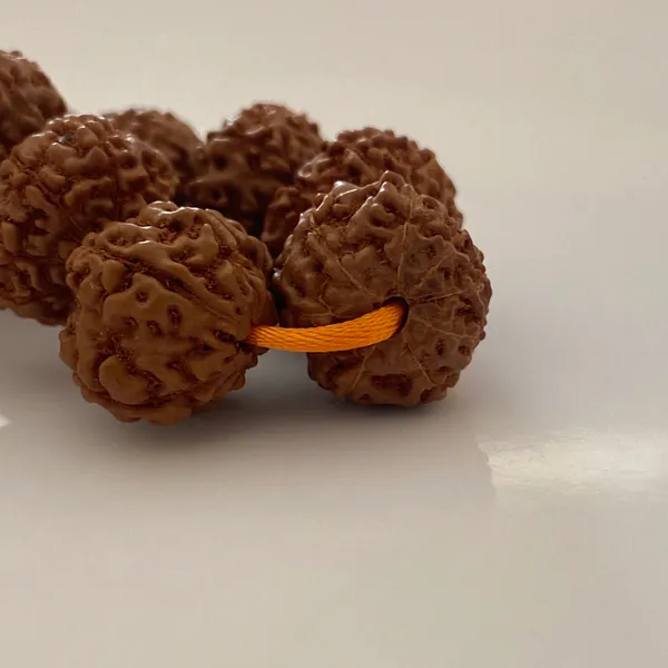 8_MUKHI_RUDHRAKSHA_MALA__LAB_CERTIFIED