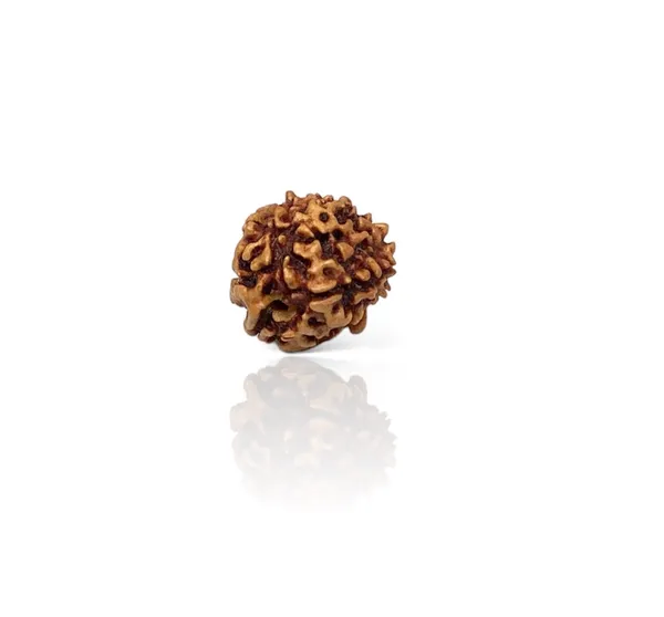 3_MUKHI_RUDHRAKSH_LAB_CERTIFIED
