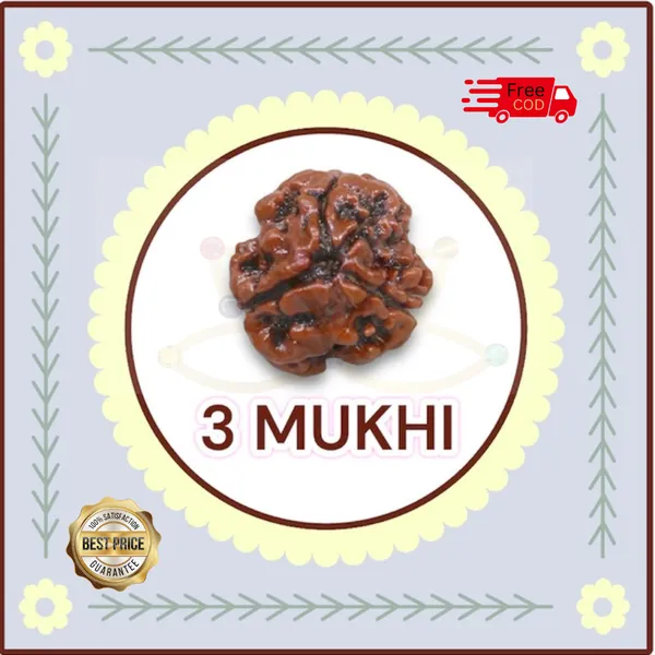 3_MUKHI_RUDHRAKSH_LAB_CERTIFIED