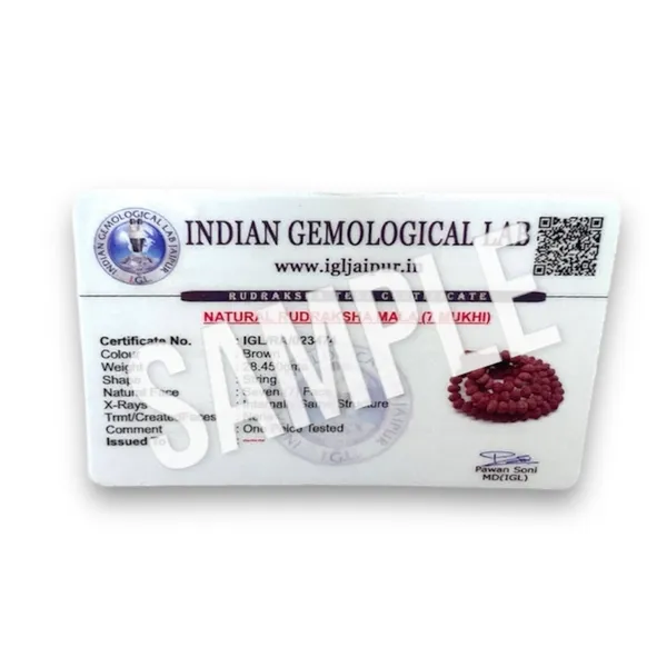 7_MUKHI_RUDHRAKSH_MALA_LAB_CERTIFIED