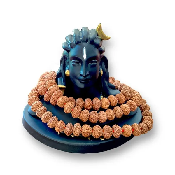 7_MUKHI_RUDHRAKSH_MALA_LAB_CERTIFIED
