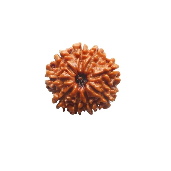 9__MUKHI_RUDHRKASH_LAB_CERTIFIED_