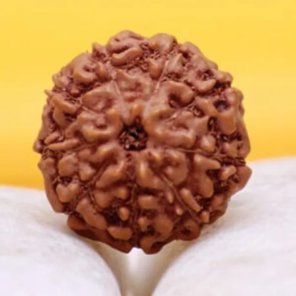 9__MUKHI_RUDHRKASH_LAB_CERTIFIED_