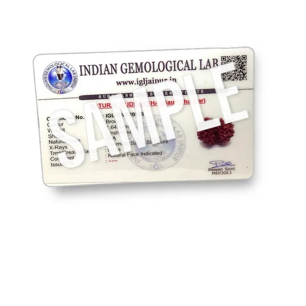 GAURI_SHANKAR_RUDHRKASH_LAB_CERTIFIED