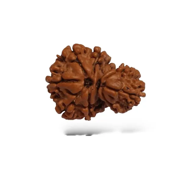 GAURI_SHANKAR_RUDHRKASH_LAB_CERTIFIED
