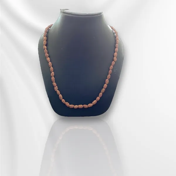 2_MUKHI_RUDHRKASH_MALA_LAB_CERTIFIED