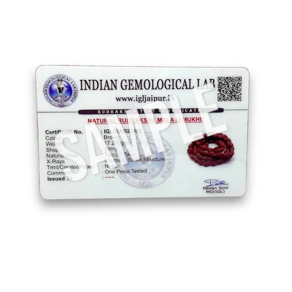 2_MUKHI_RUDHRKASH_MALA_LAB_CERTIFIED