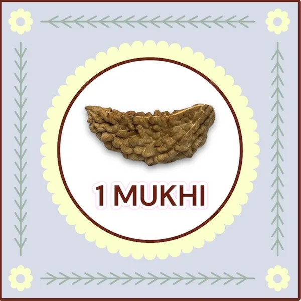 1_MUKHI_RUDHRAKSHA_LAB_CERTIFIED