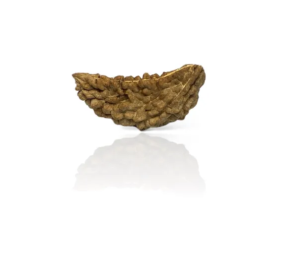 1_MUKHI_RUDHRAKSHA_LAB_CERTIFIED
