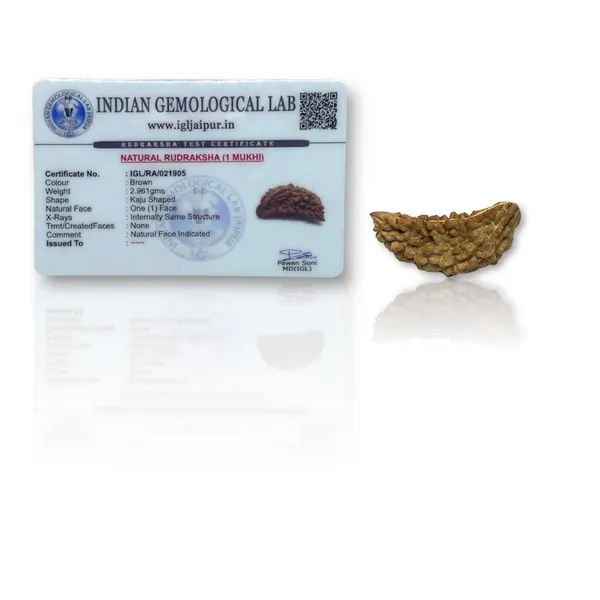 1_MUKHI_RUDHRAKSHA_LAB_CERTIFIED