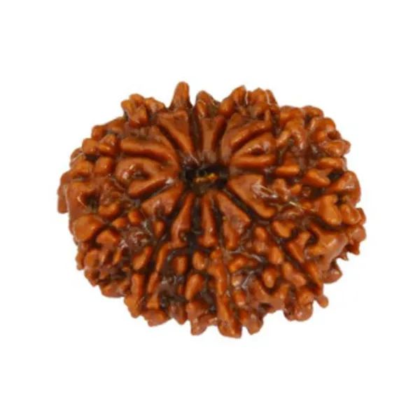 10_MUKHI_RUDHRKASH_LAB_CERTIFIED
