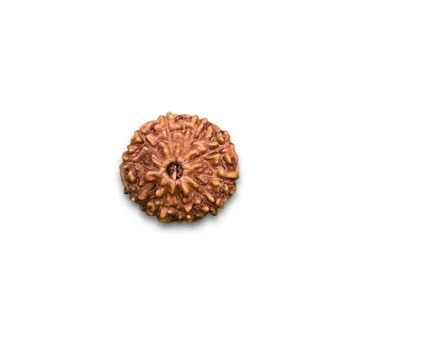 10_MUKHI_RUDHRKASH_LAB_CERTIFIED