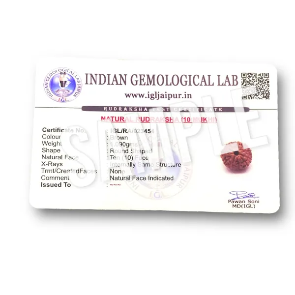 10_MUKHI_RUDHRKASH_LAB_CERTIFIED
