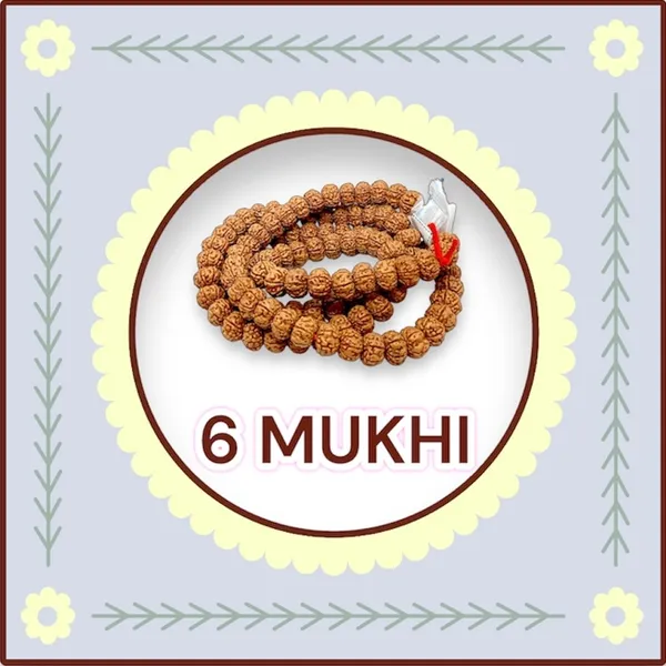6_MUKHI_RUDHRAKSH_MALA_LAB_CERTIFIED