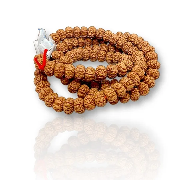 6_MUKHI_RUDHRAKSH_MALA_LAB_CERTIFIED