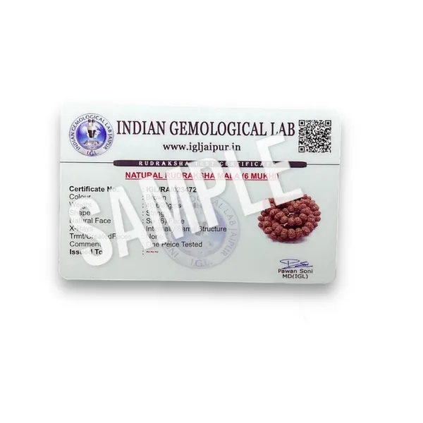 6_MUKHI_RUDHRAKSH_MALA_LAB_CERTIFIED