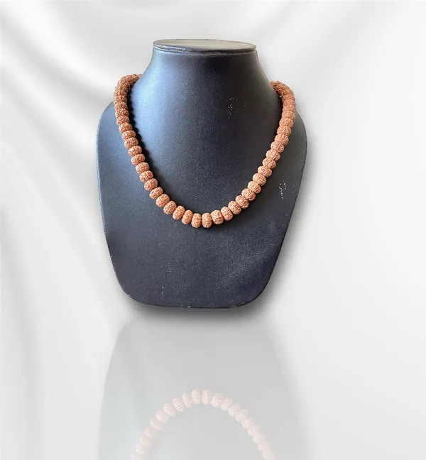 6_MUKHI_RUDHRAKSH_MALA_LAB_CERTIFIED
