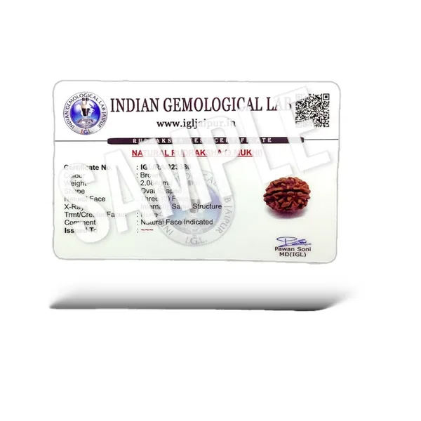5_MUKHI_RUDHRAKSH_LAB_CERTIFIED