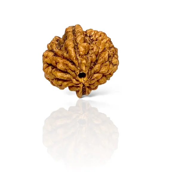 2_MUKHI_RUDHRKASH_LAB_CERTIFIED