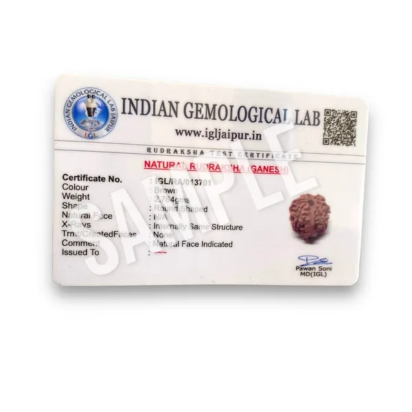 GANESH_MUKHI_RUDHRAKSH_LAB_CERTIFIED_
