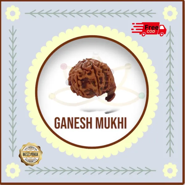 GANESH_MUKHI_RUDHRAKSH_LAB_CERTIFIED_