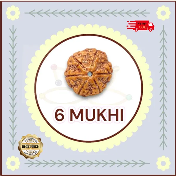 6_Mukhi_Rudhraksha_With_Original_Certified_For_Positive_Energy.
