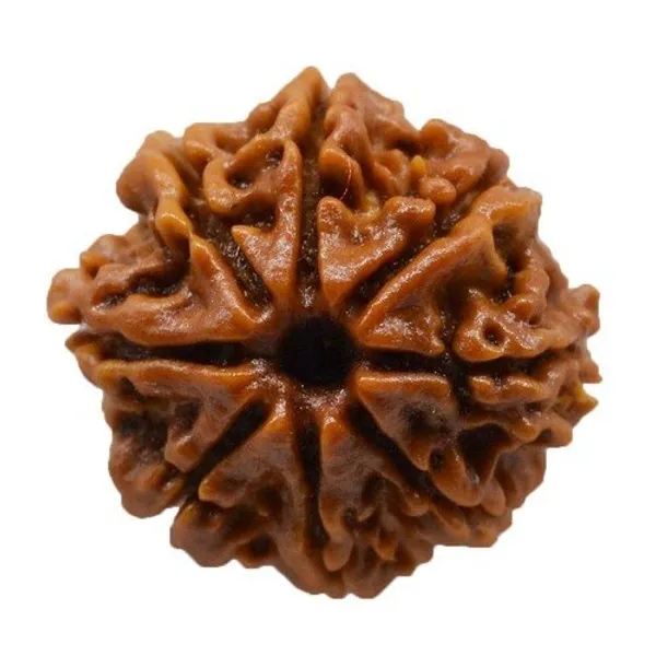 8_MUKHI_RUDHRAKSH_LAB_CERTIFIED